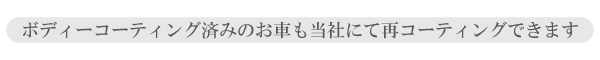 ボディーコーティング